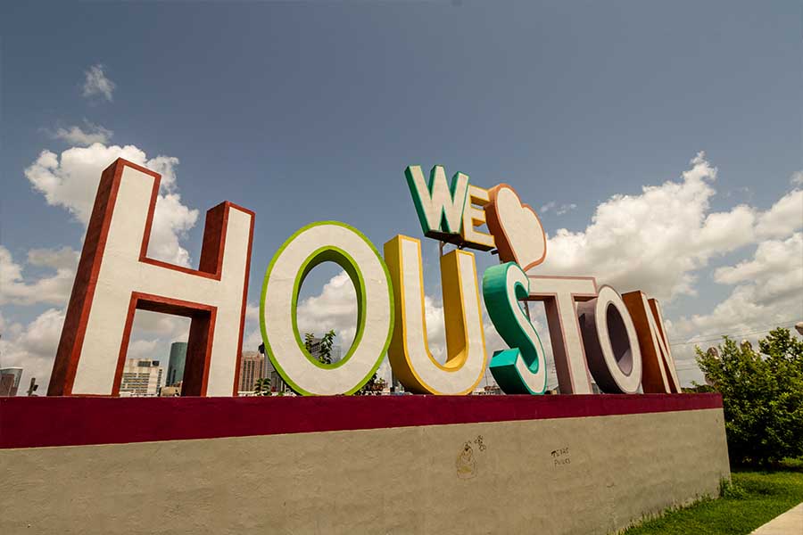 How input shapes the plan